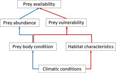 Climate Effects on Prey Vulnerability Modify Expectations of Predator Responses to Short- and Long-Term Climate Fluctuations